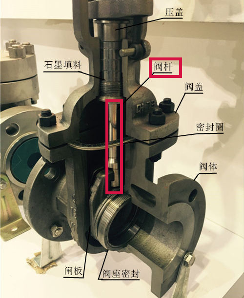 202307202103.png 3.png