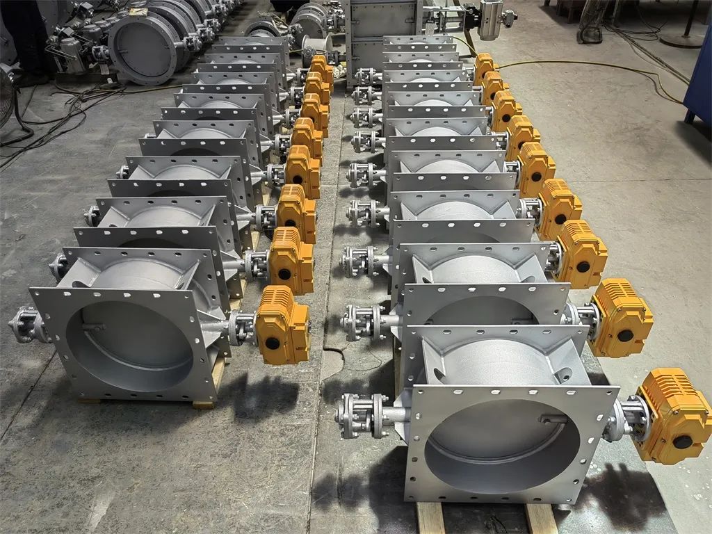 202307241178.jpg 4.jpg